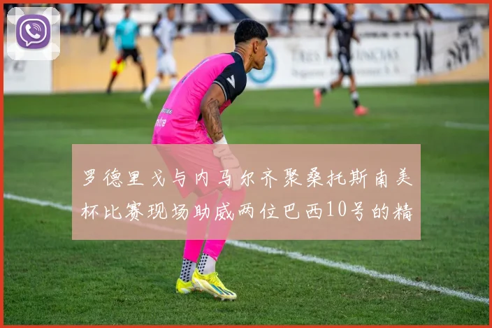 罗德里戈与内马尔齐聚桑托斯南美杯比赛现场助威两位巴西10号的精彩时刻