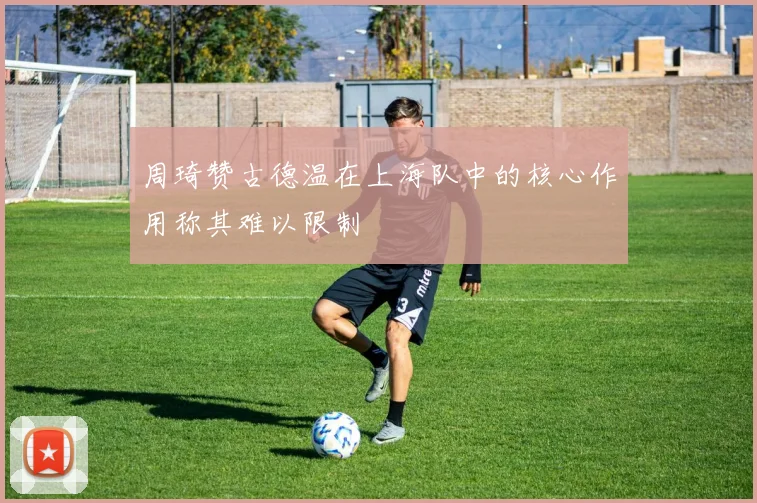 周琦赞古德温在上海队中的核心作用称其难以限制